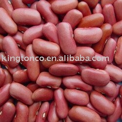 red kidney bean