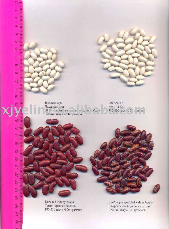 Purple Kidney Bean