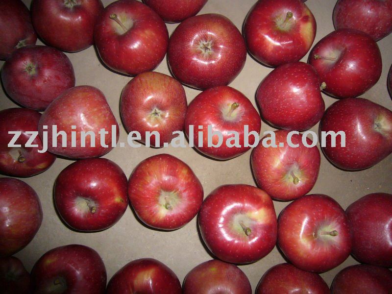 Fresh Red Delicious Apple