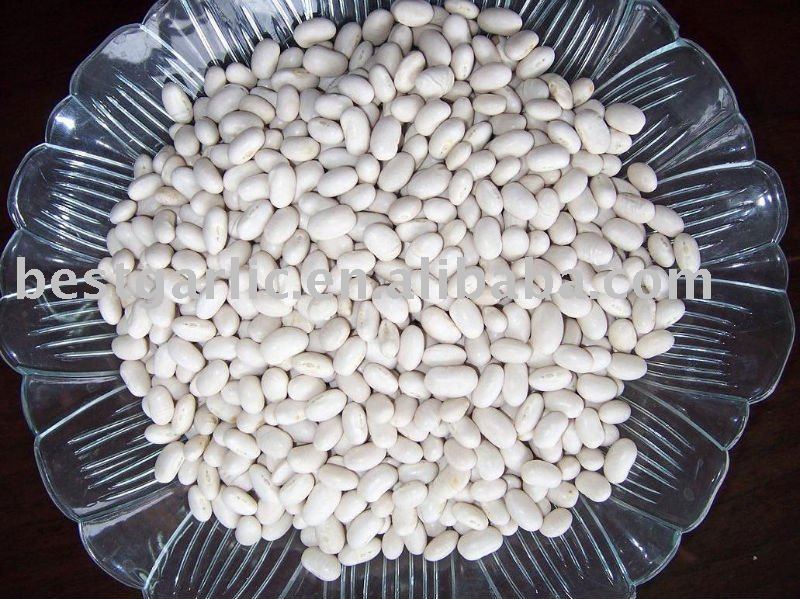 White Kidney Beans Japanese type,China BEST price supplier 21food