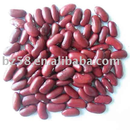 2011 hot sale small red kidney beans
