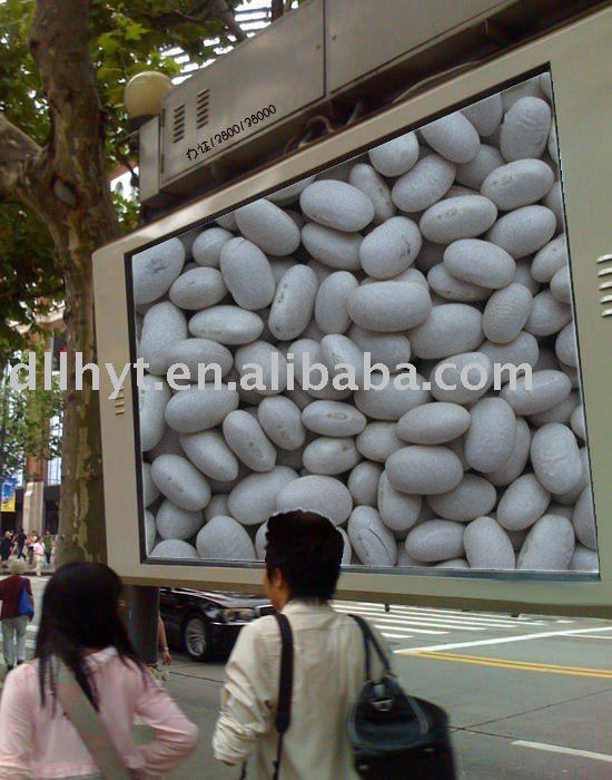 white kidney beans