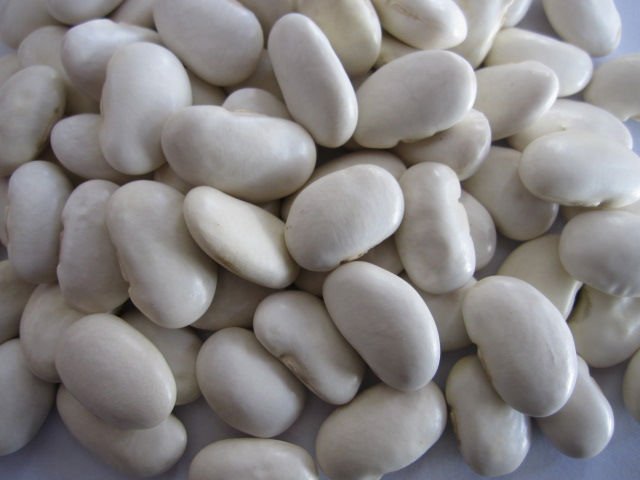 white lima beans