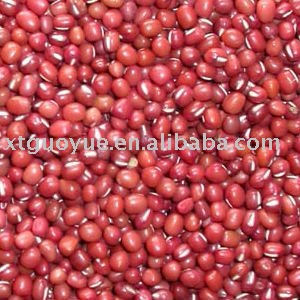 adzuki bean