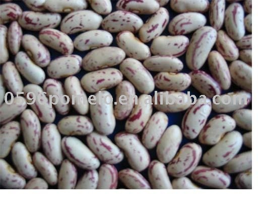 Light Speckled Kidney Bean(long shape)
