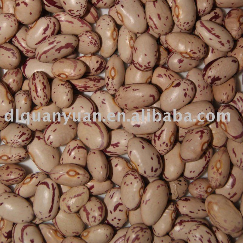 kidney beans