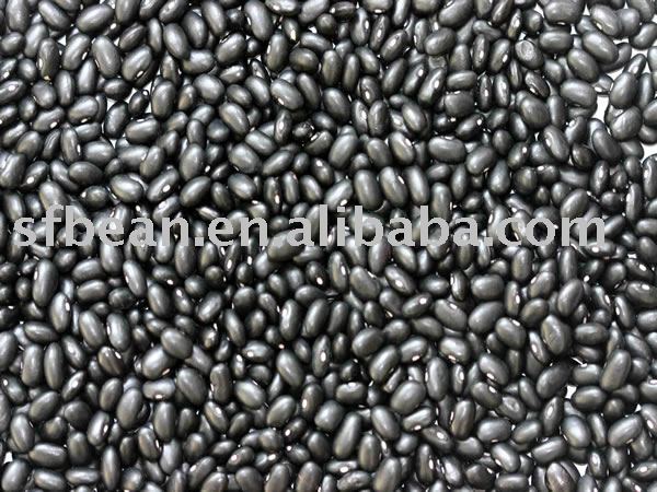 Black kidney bean