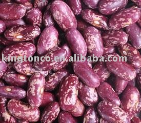 purple speckled kidney beans