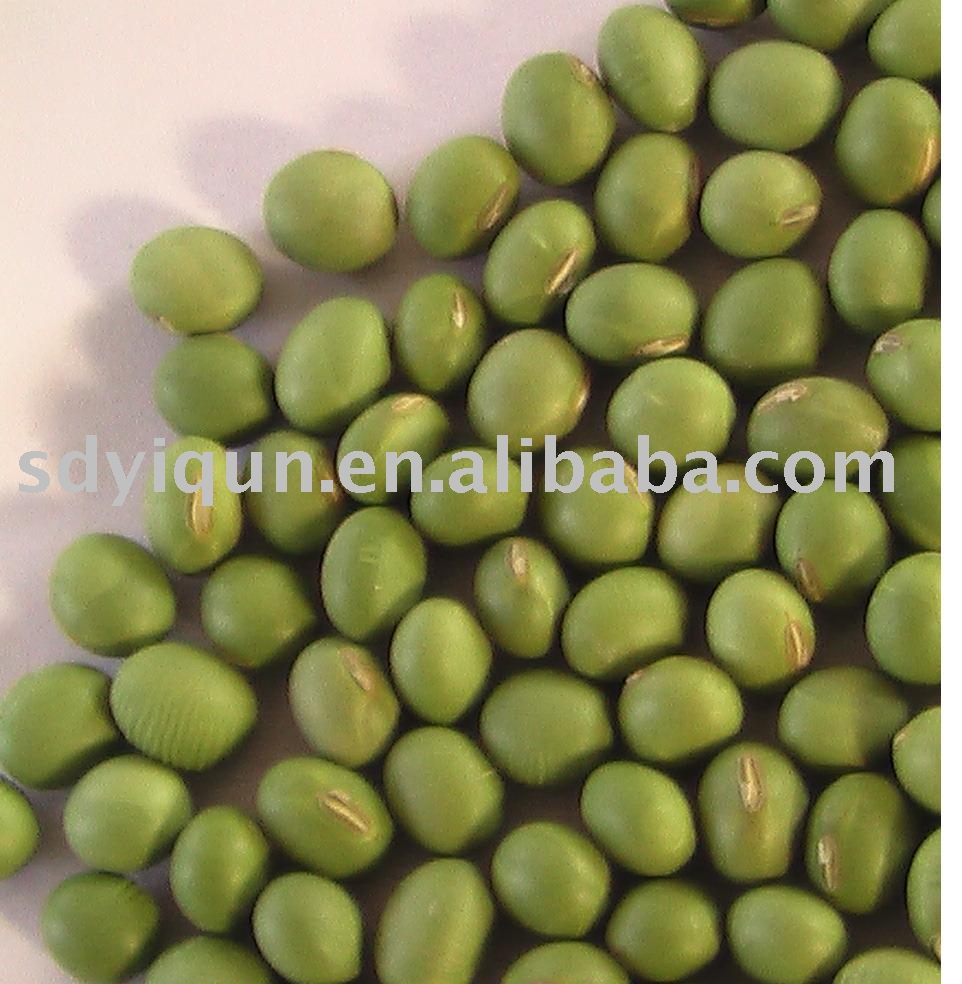 double-green soybean