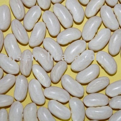 White Kidney Beans