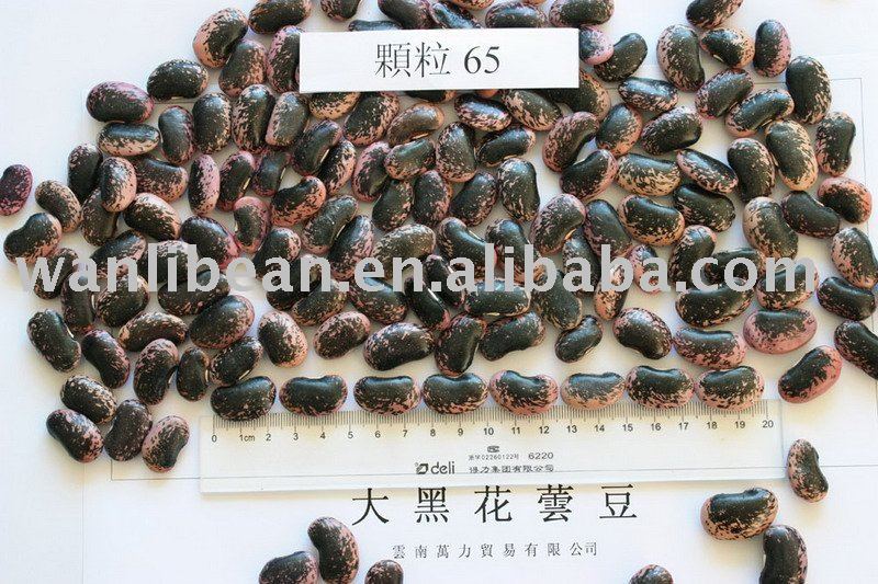 Large Black Speckled Kidney Beans, max. 65/100gr