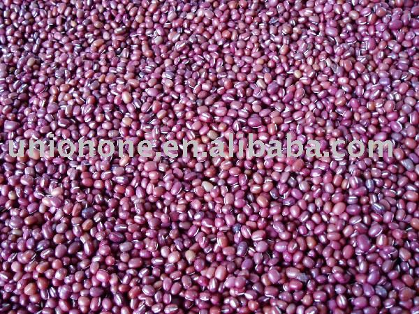 Red bean