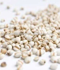 organic coixseed/coix seed/Job's Tear/YIMI