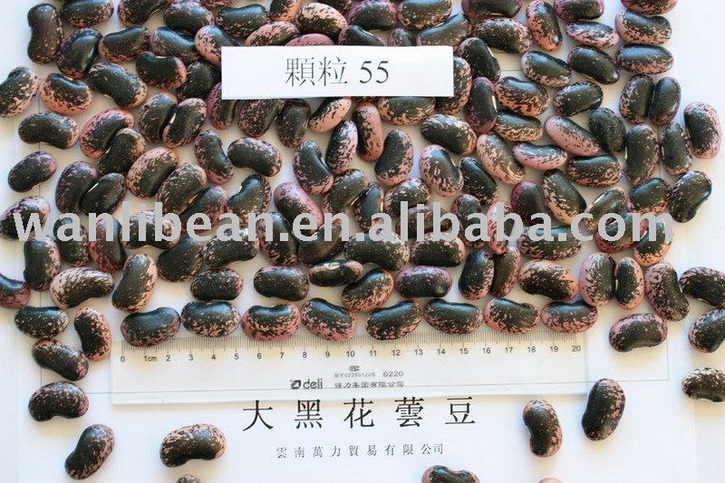 Large Black Speckled Kidney Beans, max. 55/100gr