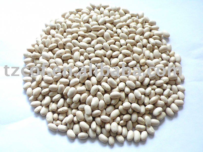  japanese  white kidney beans