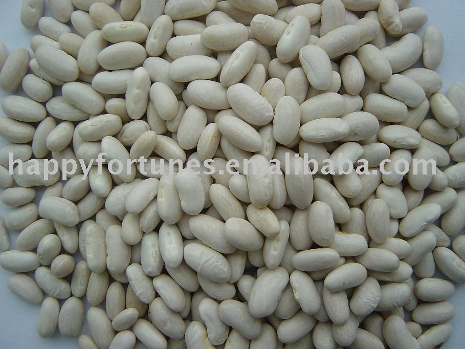 kidney bean white bean canned bean bai sha ke white kidney bean dongbei bean pulses