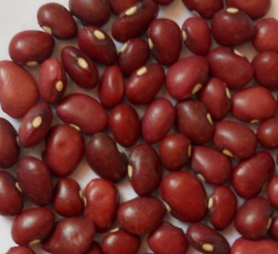 red kidney beans (Canada)