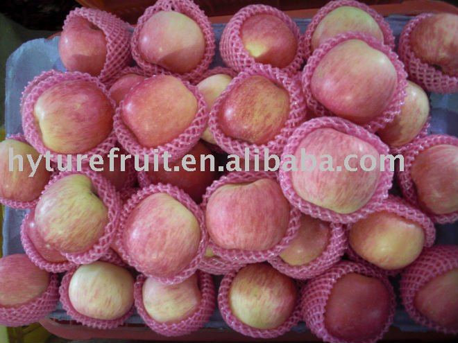 163/175 18kg/carton fuji apple