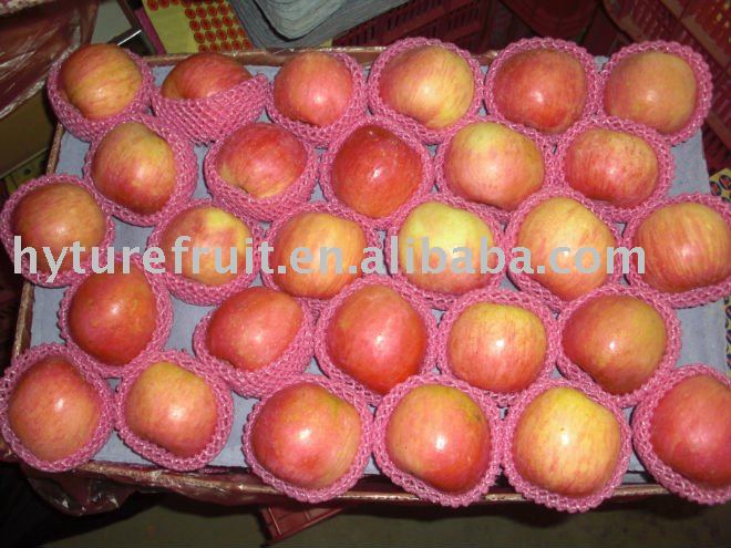 138/150 18kg/carton fuji apple