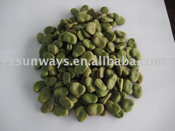 DRY GREEN BROAD BEAN