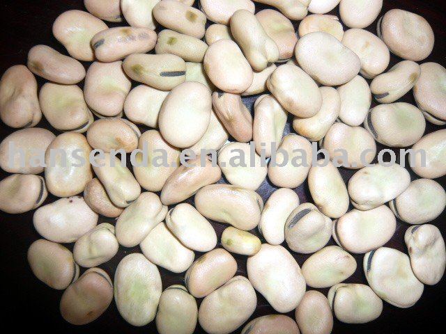 broad beans
