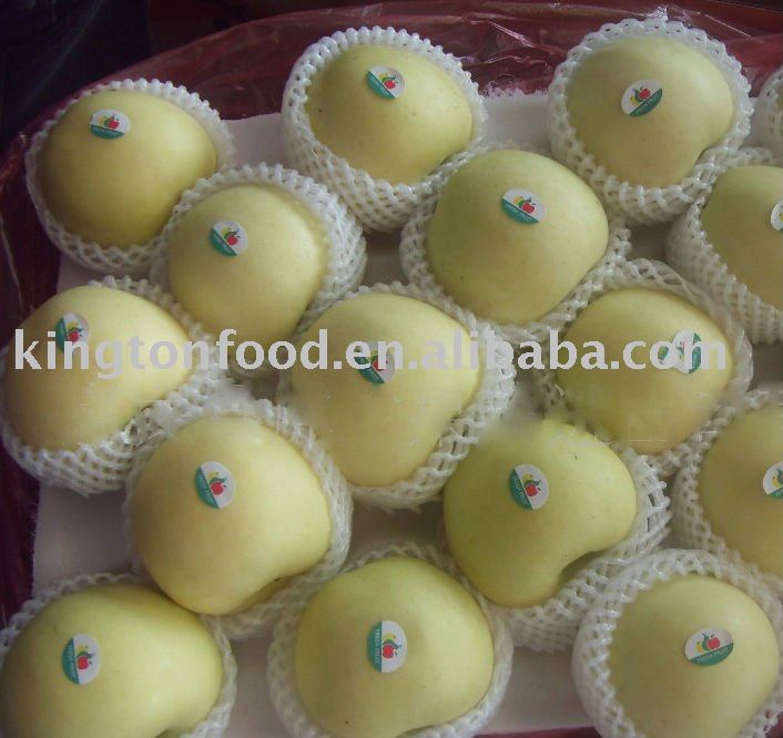 FRESH golden delicious chinese apple
