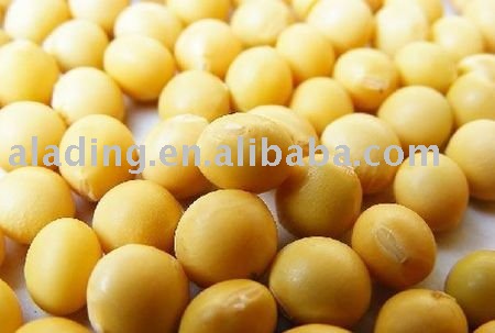  Soybean   Isoflavone s  40 %