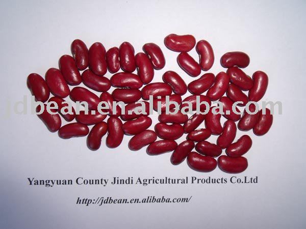 Dark Red Kidney beans(GF5)