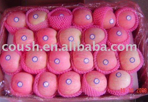 2010  Fresh   Chinese   Apple 