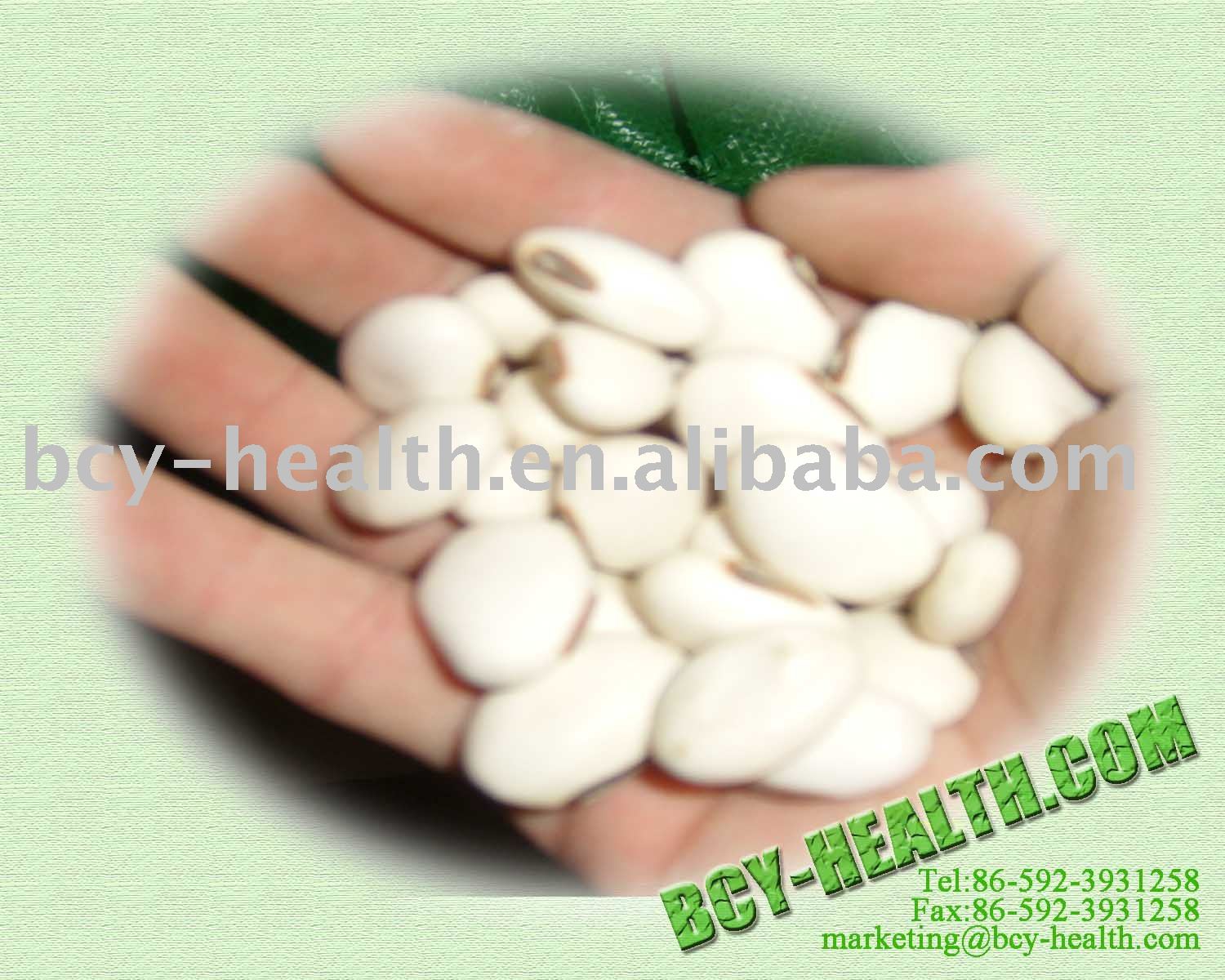 white bean