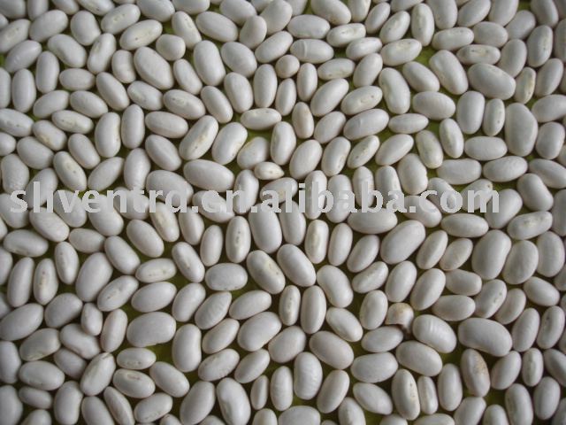 Japanese type white kidney beans