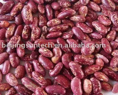 Dark red speckled kidney beans
