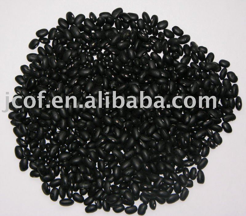 2010 new crop small black bean(712)
