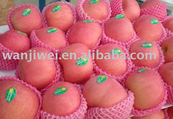 Red Fuji Apple