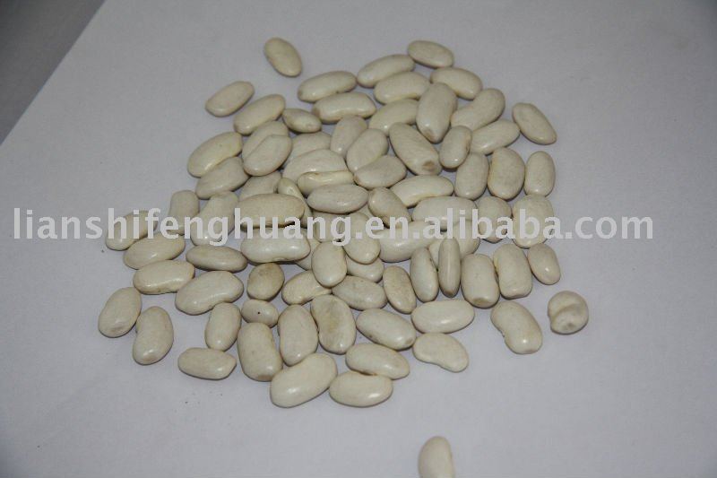 All type middle white kidney beans