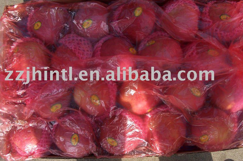 fresh qinguan apple
