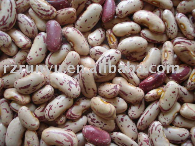 light speckled kidney beans