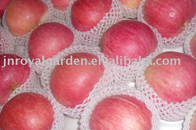 chinese fesh fuji apple