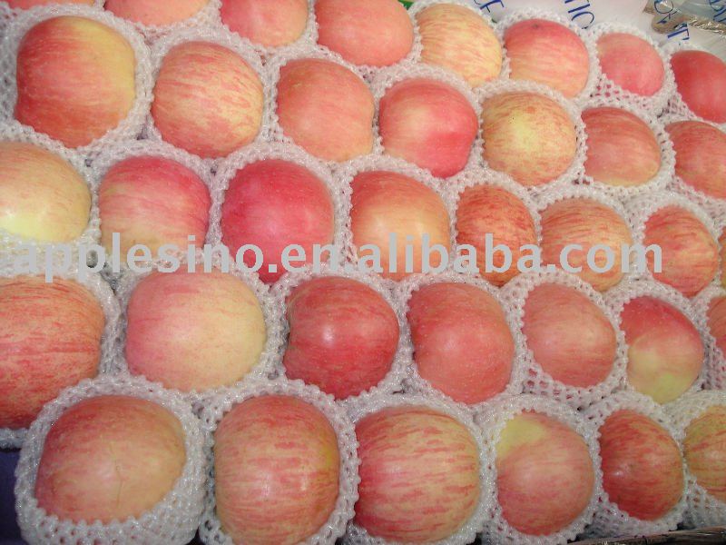 Chinese fresh red Fuji apple