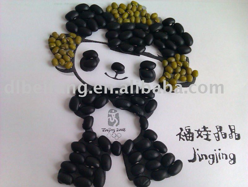 Black Kidney Bean( 2010 crop ,Heilongjiang Origin,hps quality)