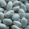 Kidney Beans