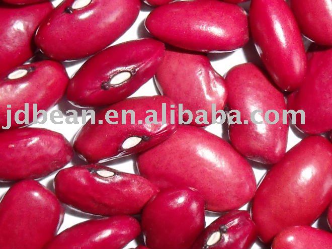 HPS High Quality Small Red Kidney Beans (GF4)