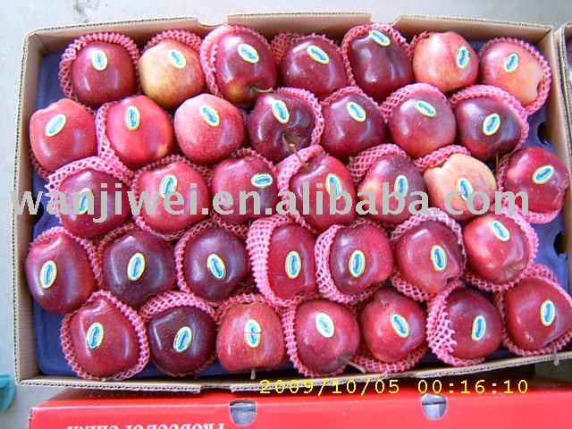 RED DELICOUS APPLE