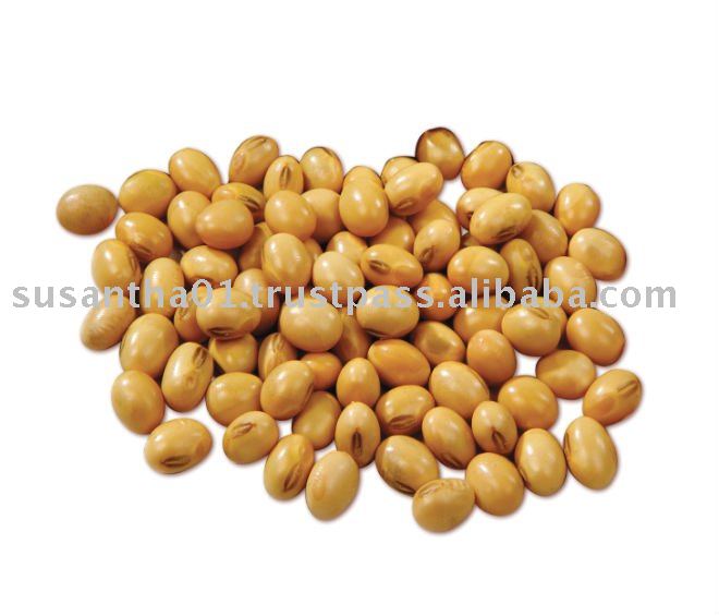 Soya bean seeds products,Sri Lanka Soya bean seeds supplier