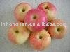 the most popular product yantai fuji apple
