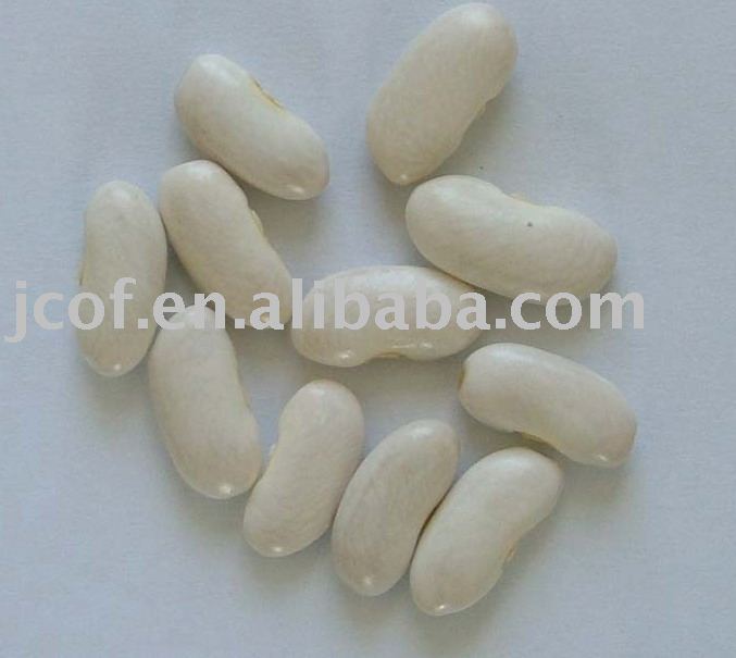 2010 new crop long white kidney bean(712)