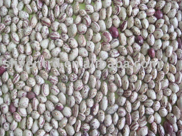 Light Speckled Kidney Beans,Xinjiang Round shape