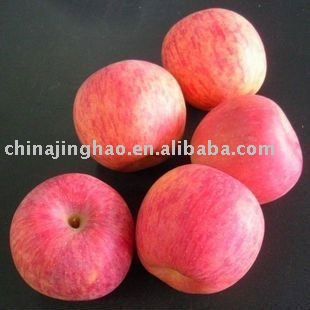 Best Products and Taste Well - 2010 new crop Sweet Fresh Yantai Red Fuji Apple for Sale