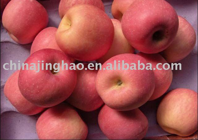 High Quality  Products  and Taste Well - 2010 new crop Sweet Fresh Yantai Red Fuji  Apple  for Sale