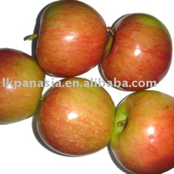 Red Honey Apple